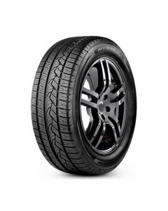 LLANTA NITTO NT421Q 225/65R17 106V